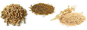 pellet-avena-nocciolino-per-bruciatori-a-biomassa