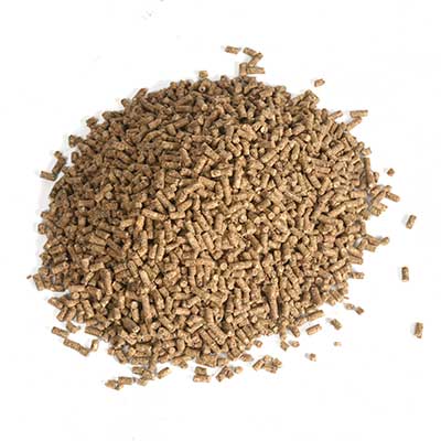 pellet